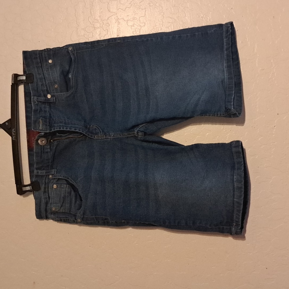 Truth Substance Men's Slim Jean Shorts, size 33, gently worn